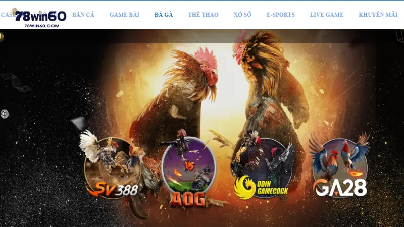 78win là nhà cái đá gà minh bạch